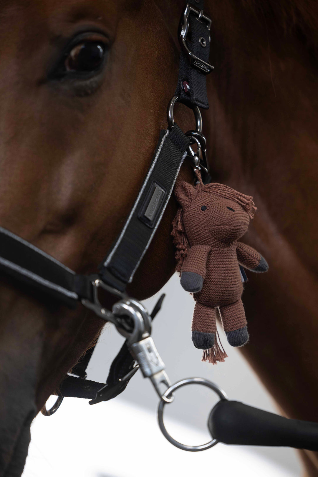 Kingsland Equestrian KLmonty Horse Teddy