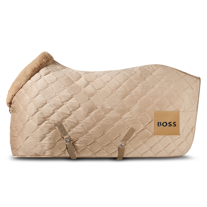 B4H0801-260_1_master