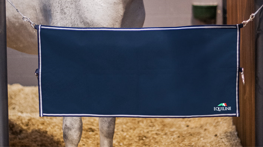 Stable-Guardi0uU5NBZGnaLe